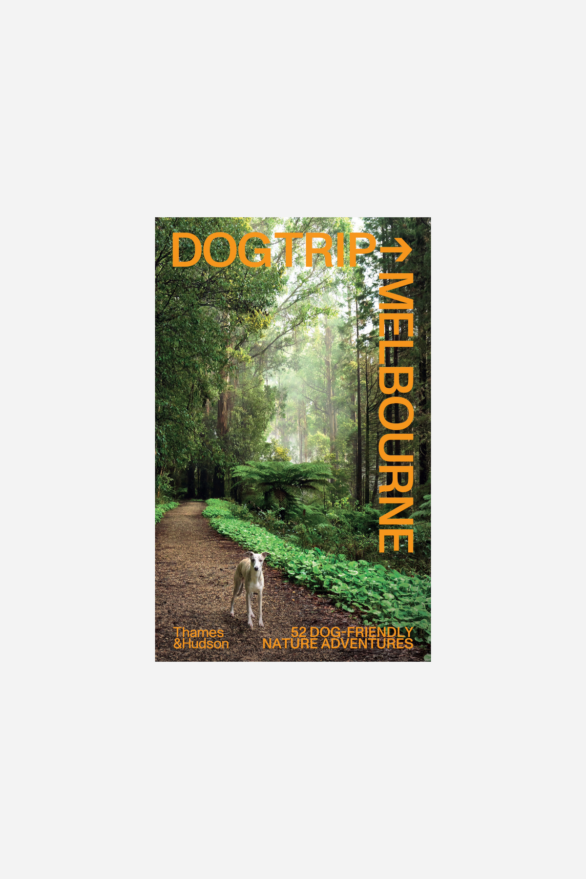 Dog Trip Melbourne