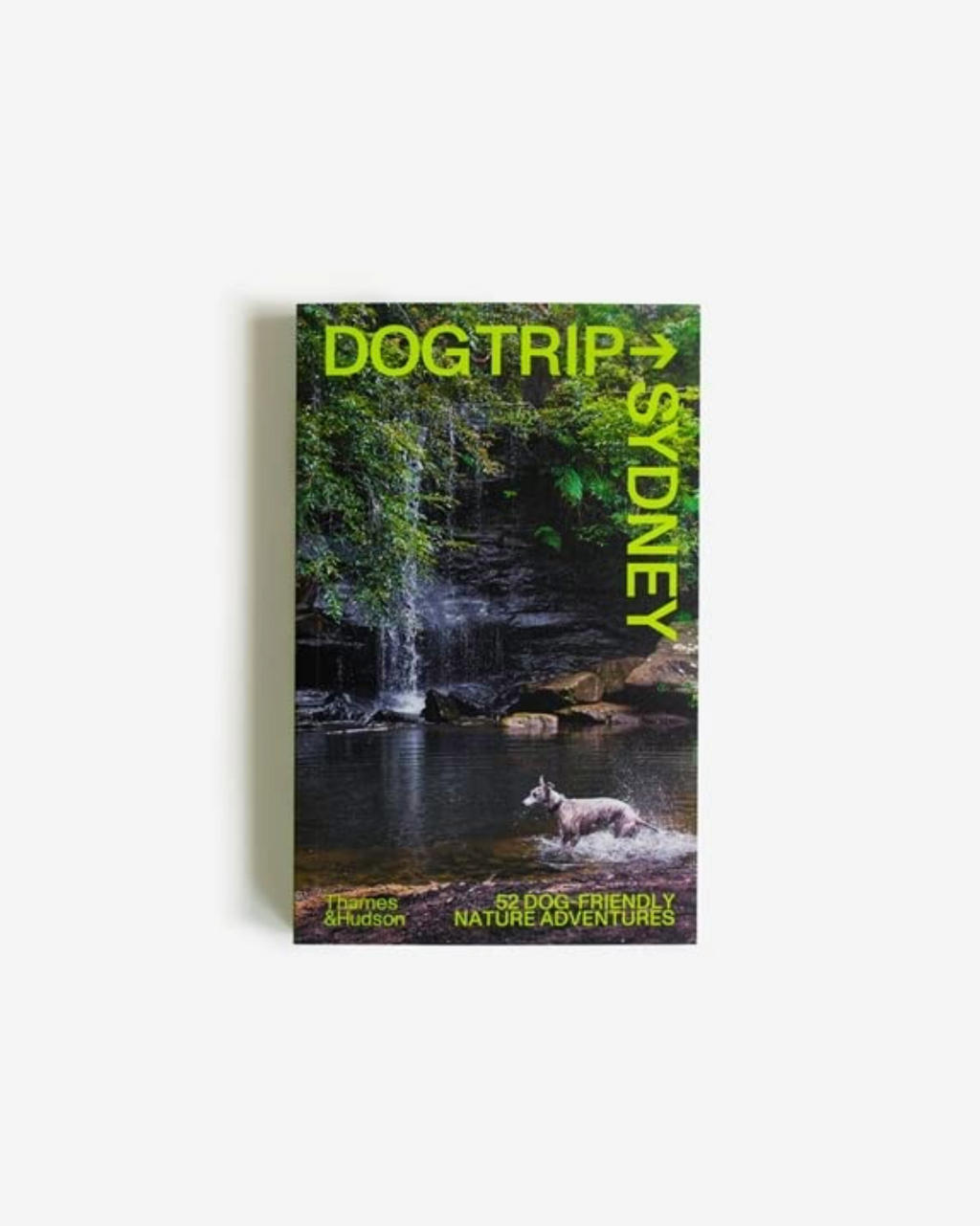 Dog Trip Sydney
