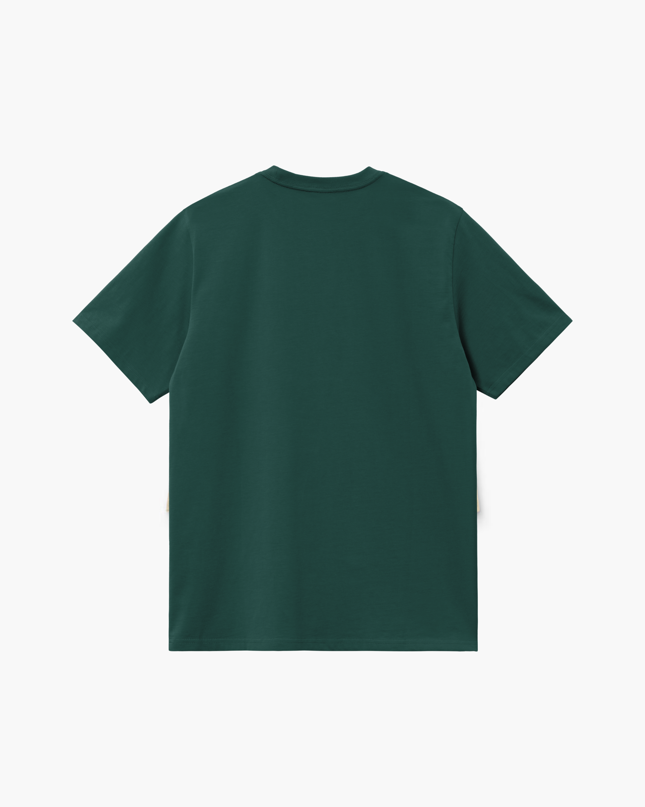 Carhartt WIP Short Sleeve American Script T-Shirt in Dark Fir