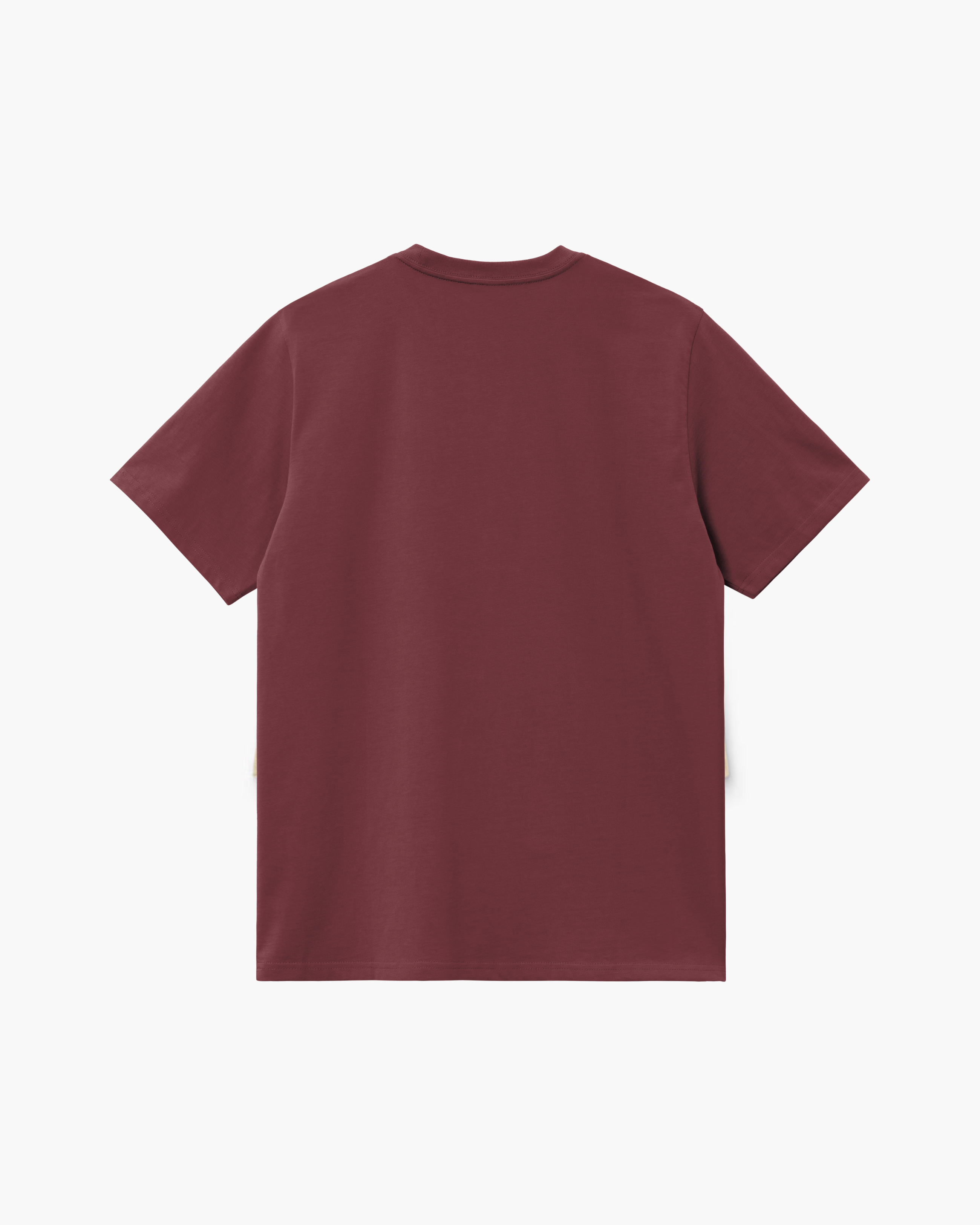 Carhartt WIP Short Sleeve American Script T-Shirt in Rondo