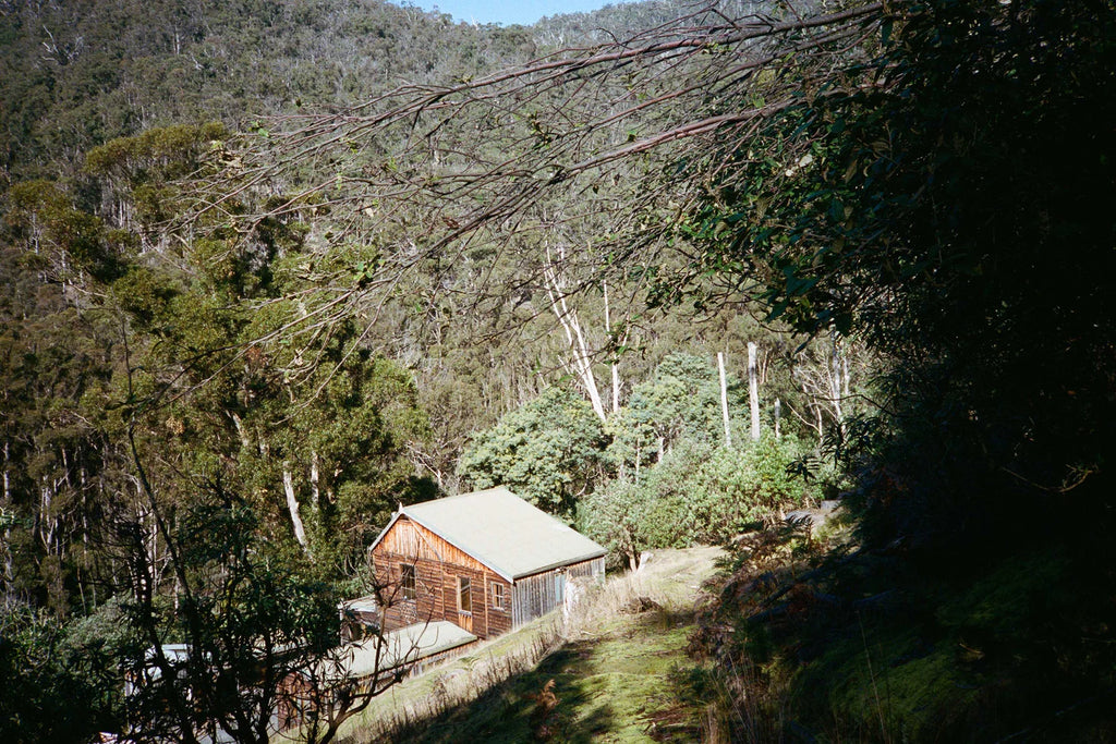 Provider House Essential Oil